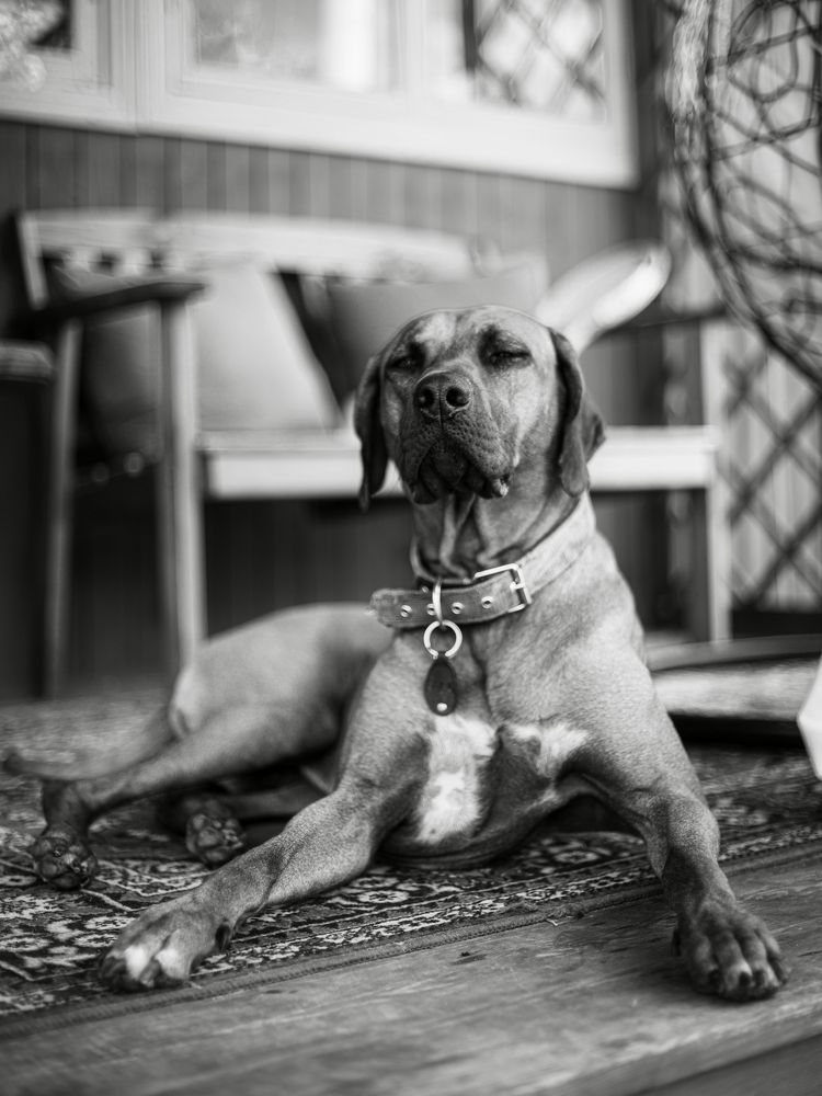 Фотография автора Екатерина Беридзе