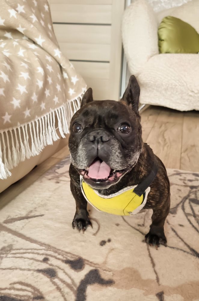 Photograph by Клавдия