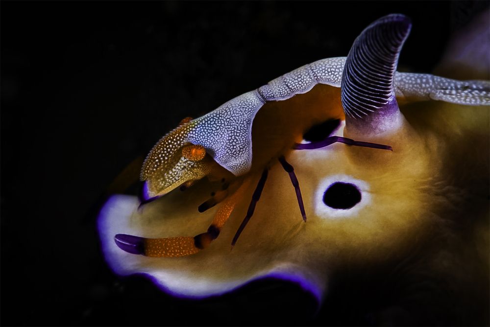 Photograph by Antonina