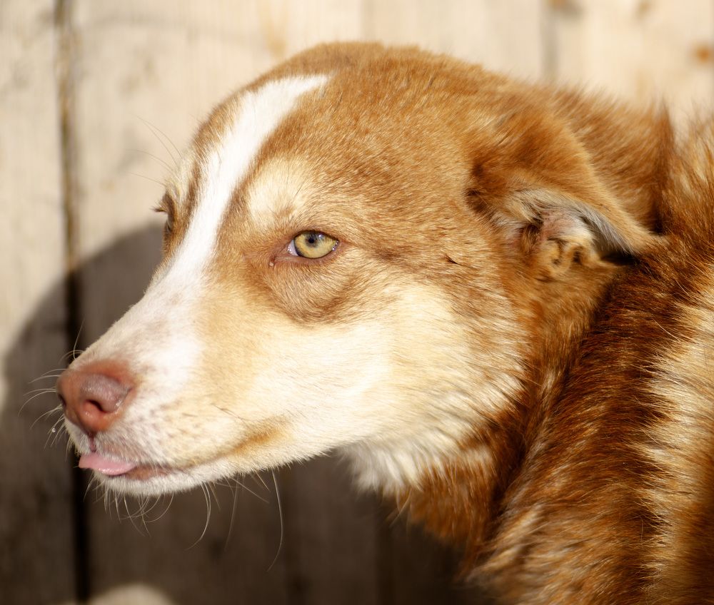 Photograph by Эльвира Быкова