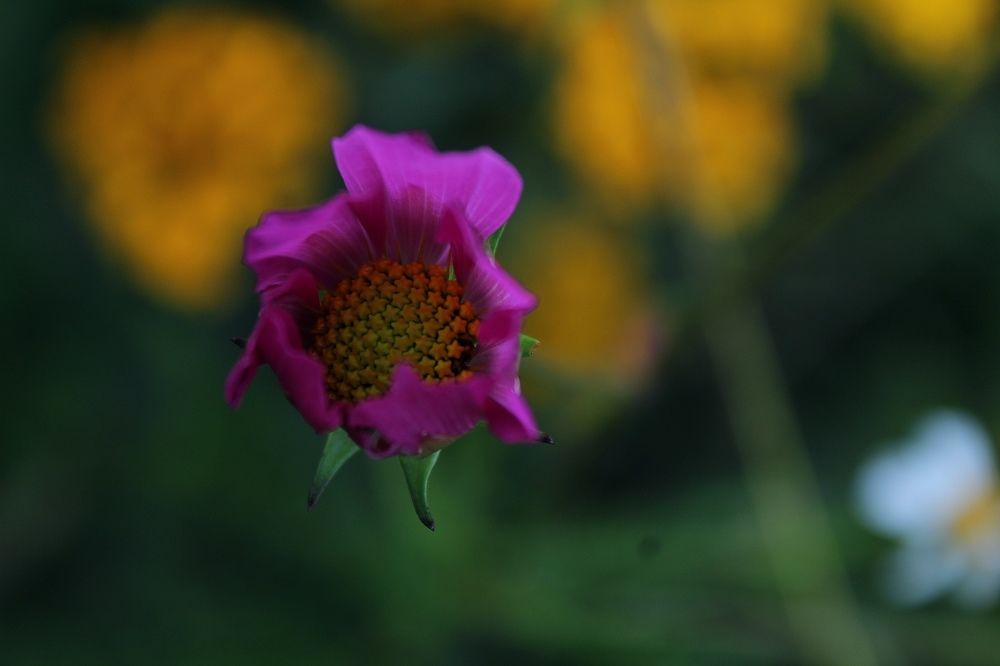 Photograph by Andrea Alcalá