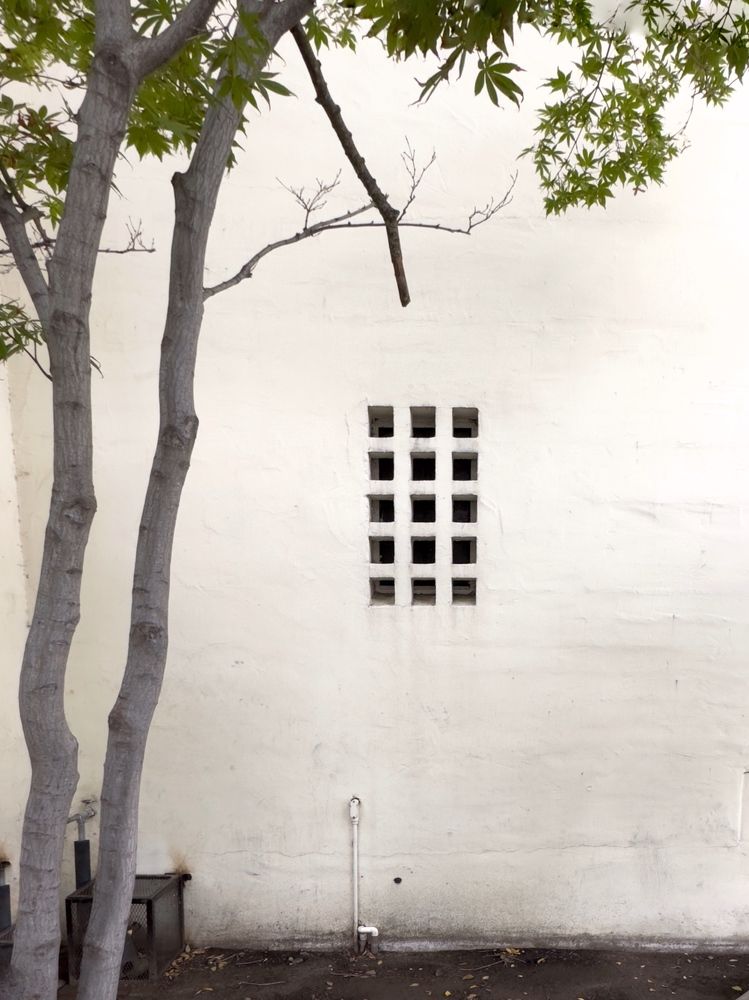 Photograph by Стасия