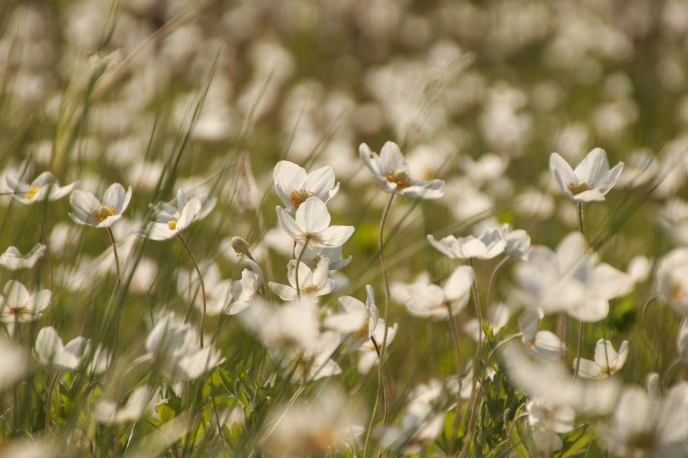 Photograph by Наталья Трифуз