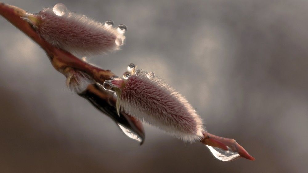 Photograph by константин