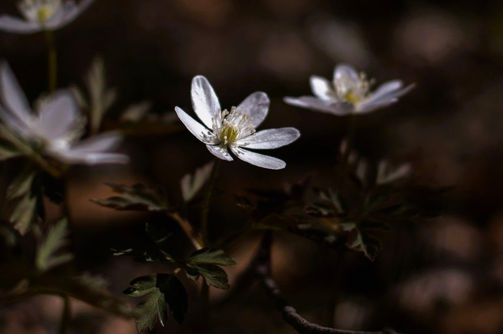 Photograph by константин