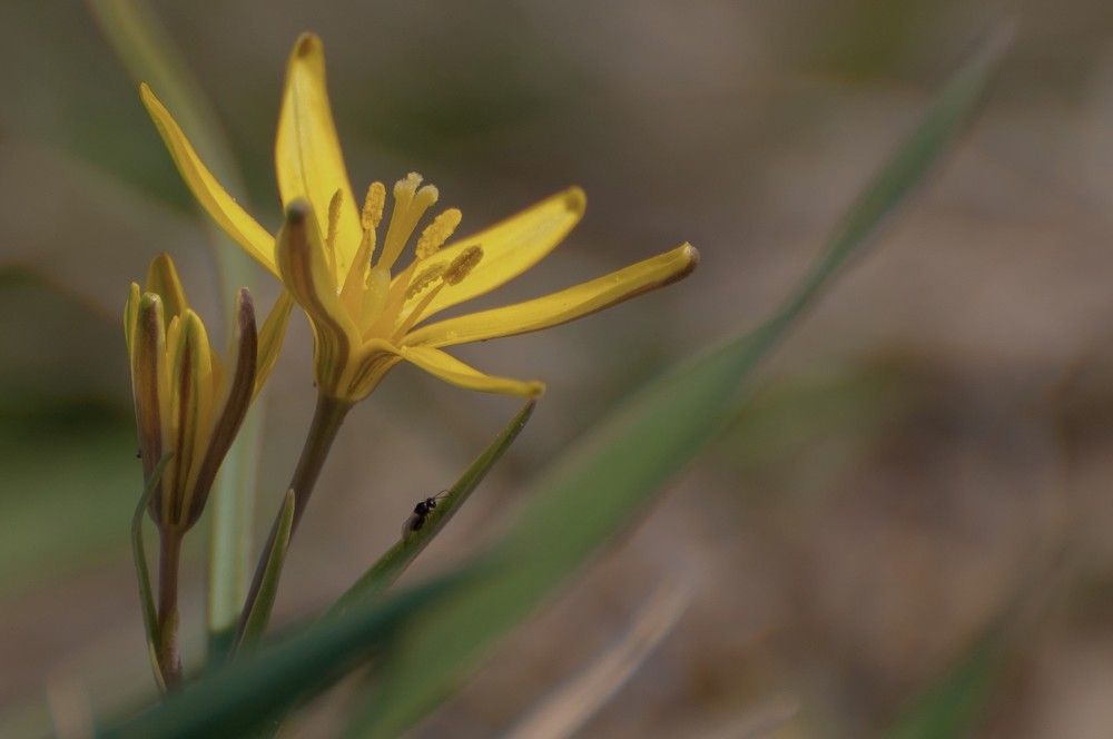 Photograph by константин