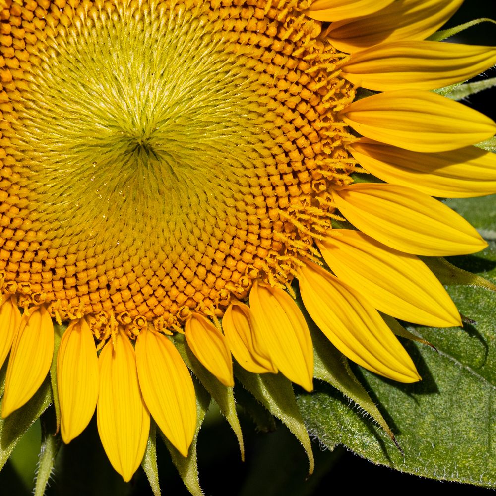 Photograph by Анатолий Костерев