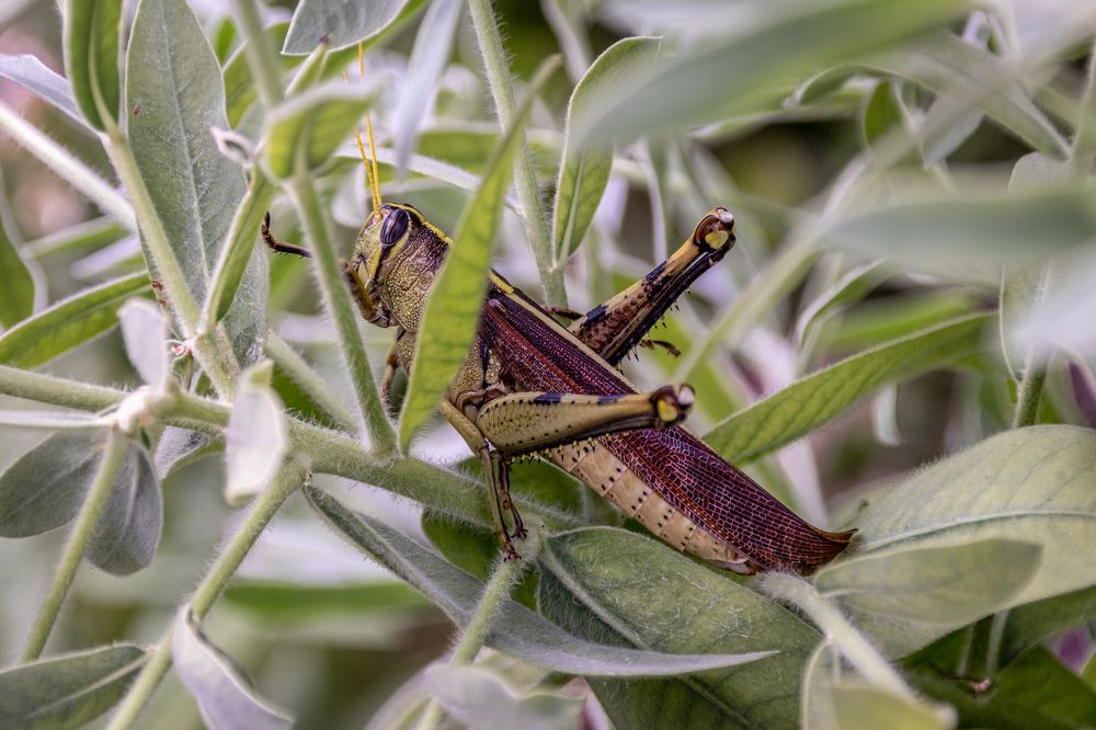 Photograph by Анатолий Костерев