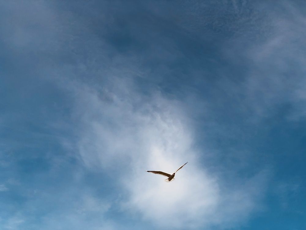 Photograph by Олеся Семёнова