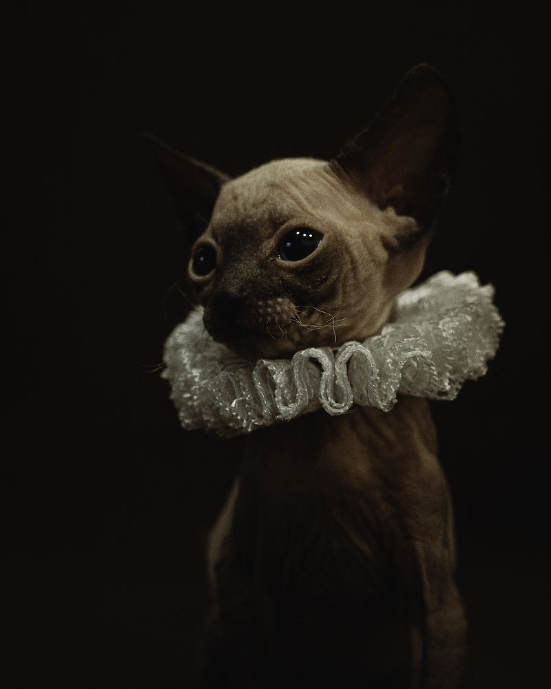 Photograph by Анна Гейнц