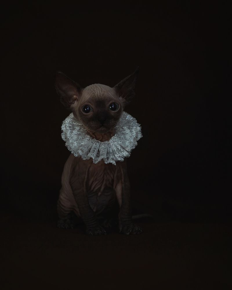 Photograph by Анна Гейнц