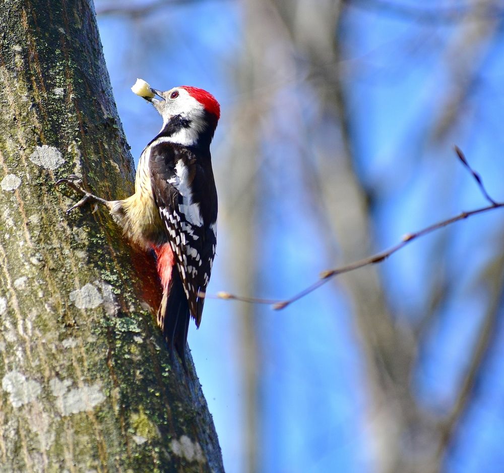 Фотография автора лилия беланова