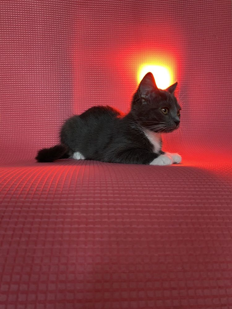 Photograph by Ольга