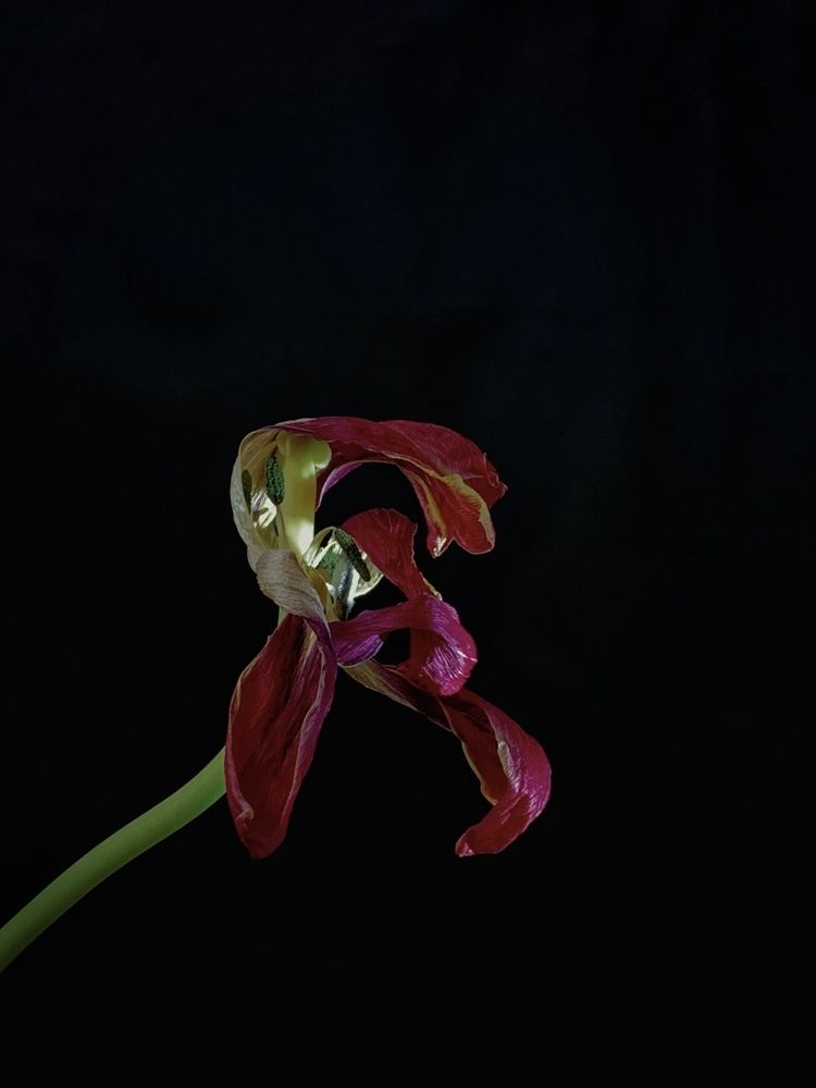 Photograph by Татьяна Семёнова