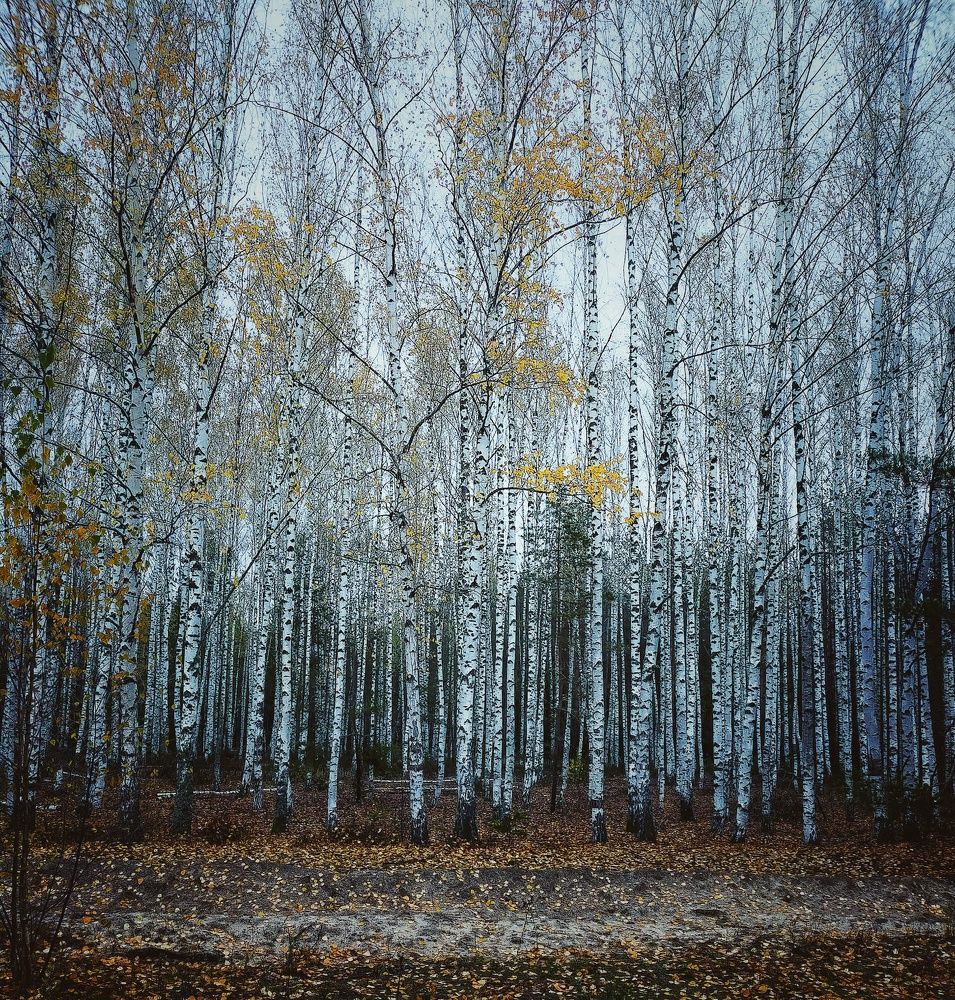 Photograph by Ольга Мартьянова