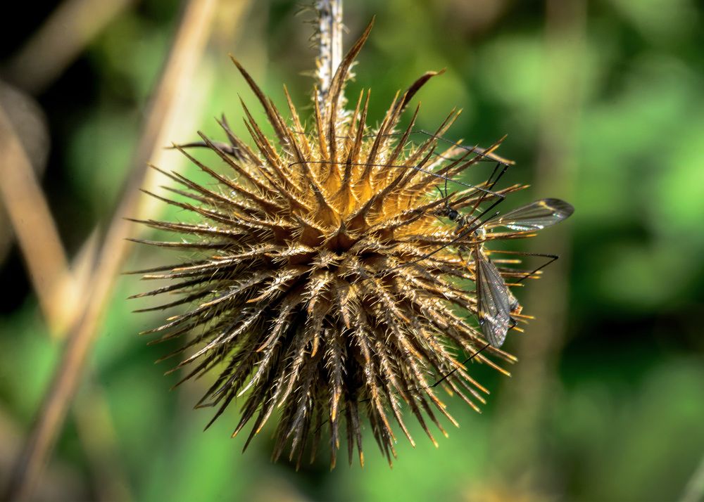 Photograph by Valery Pegushev