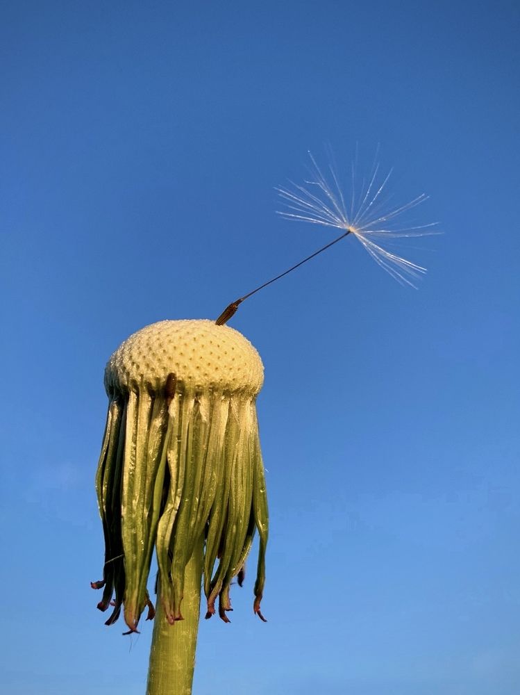 Photograph by Татьяна Семёнова