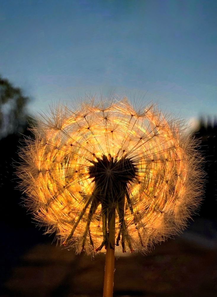 Photograph by Татьяна Семёнова