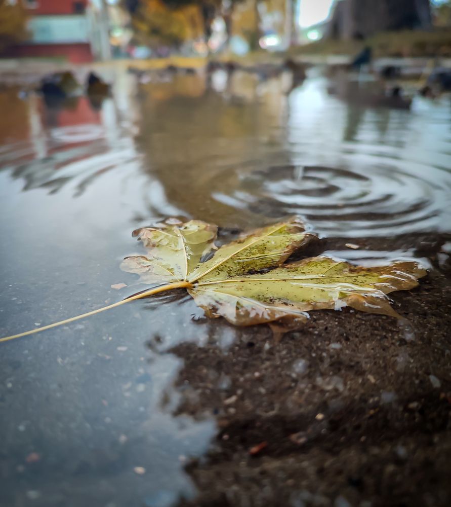 Photograph by Оксана Аралова