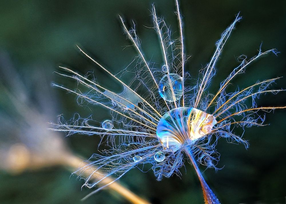 Photograph by Савчук Анатолий