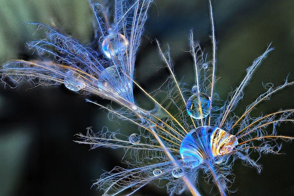 Photograph by Савчук Анатолий