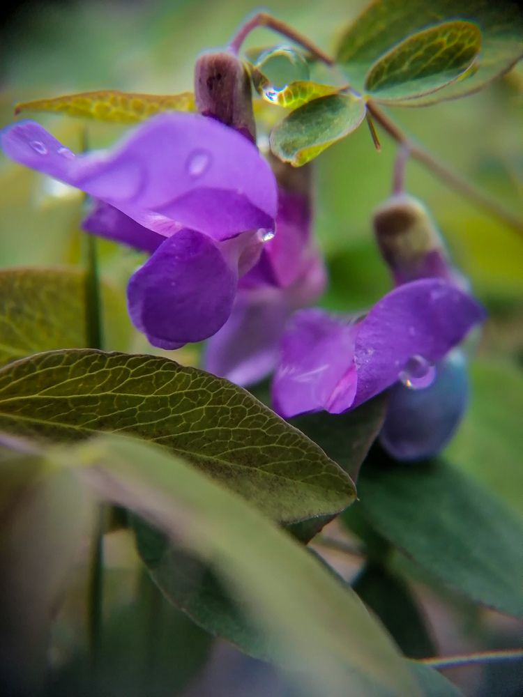 Photograph by Светлана Шелухеева