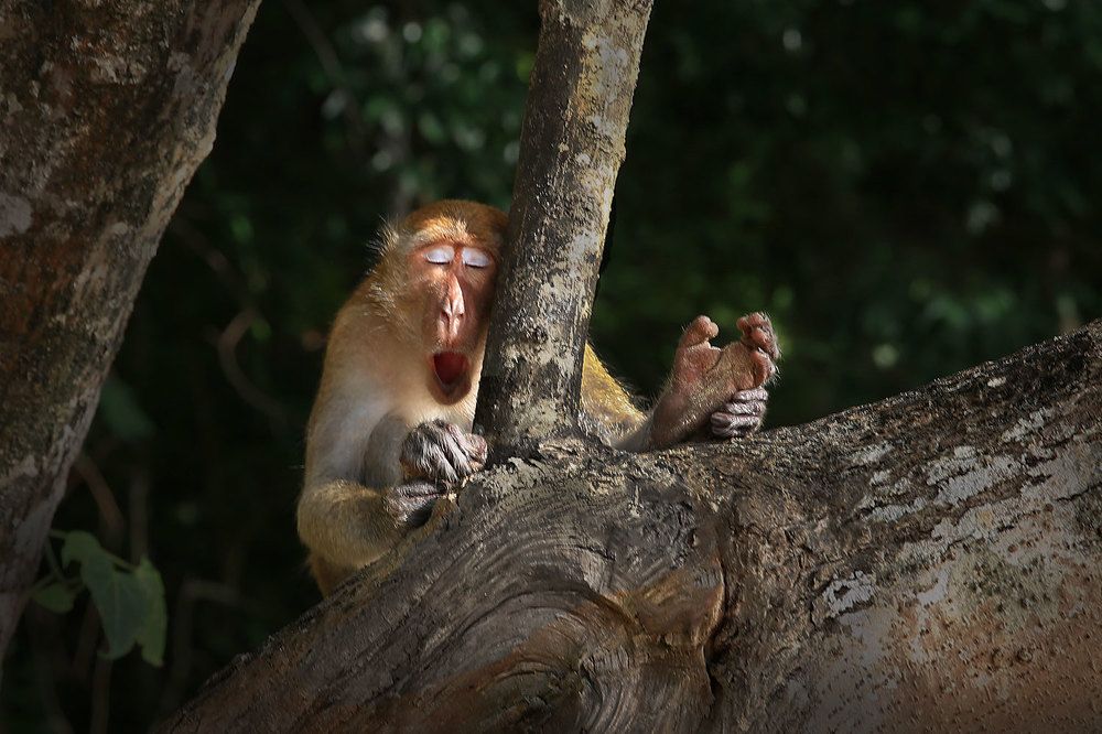 Photograph by Виктор Смирнов