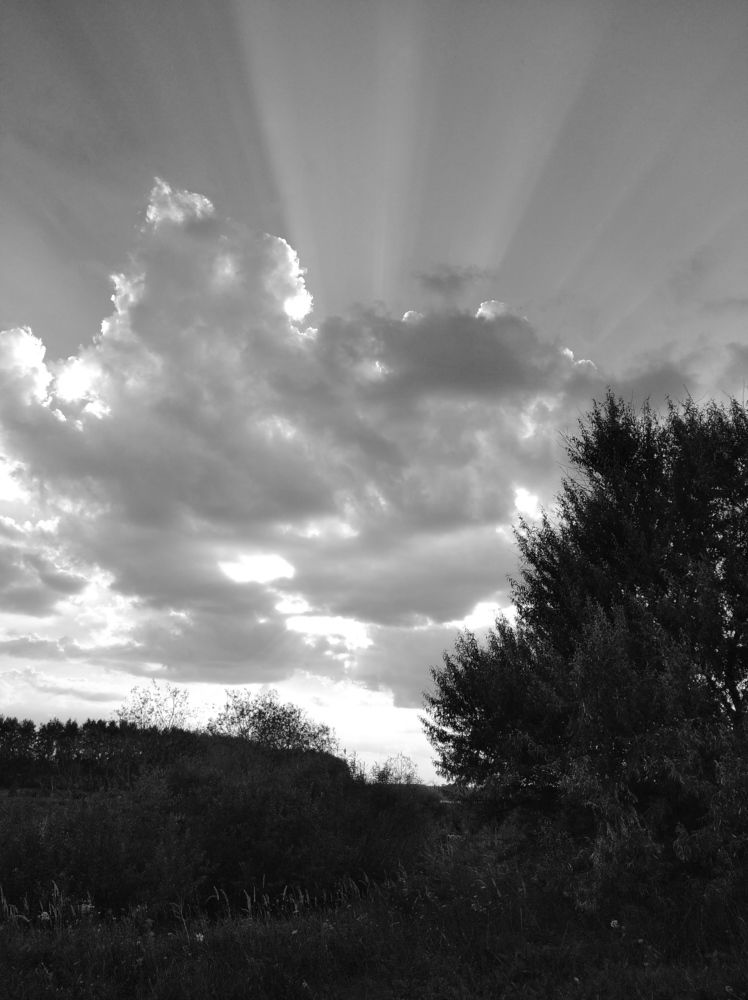 Photograph by Елена Коробченко