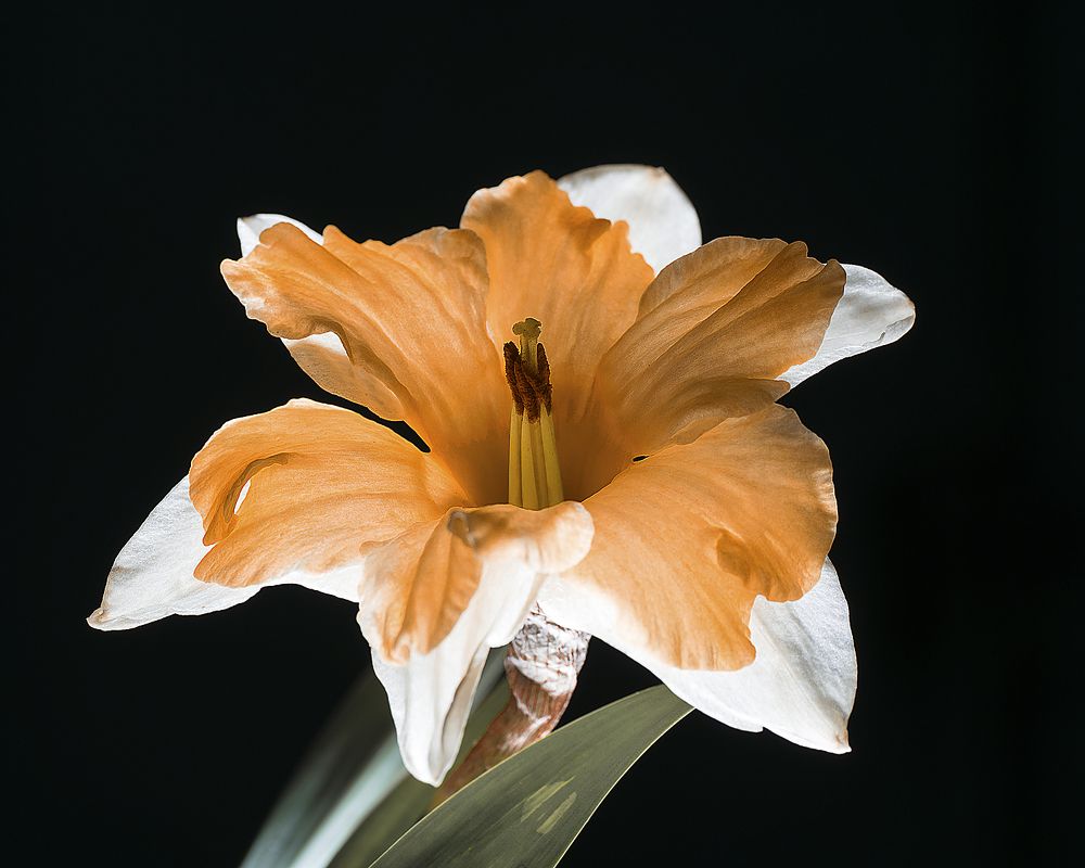 Фотография автора Александр Степочкин