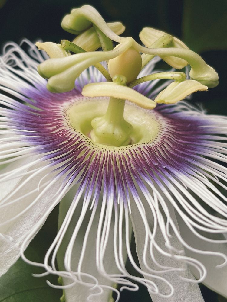 Photograph by Tina Baks