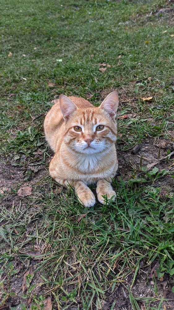 Фотография автора Васильева Ирина