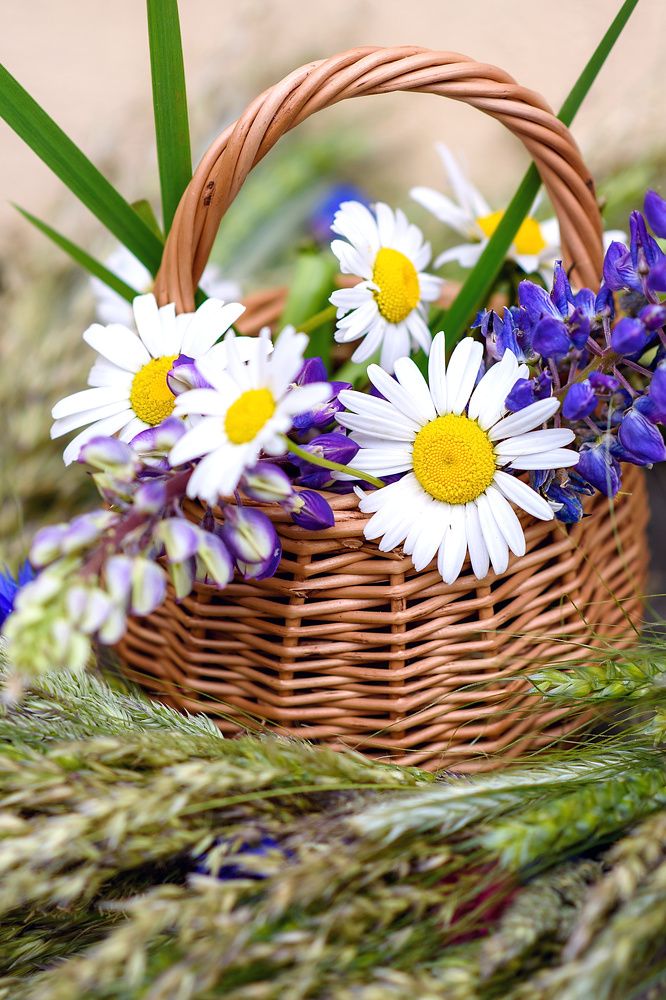 Photograph by Svetlana Jarbuse