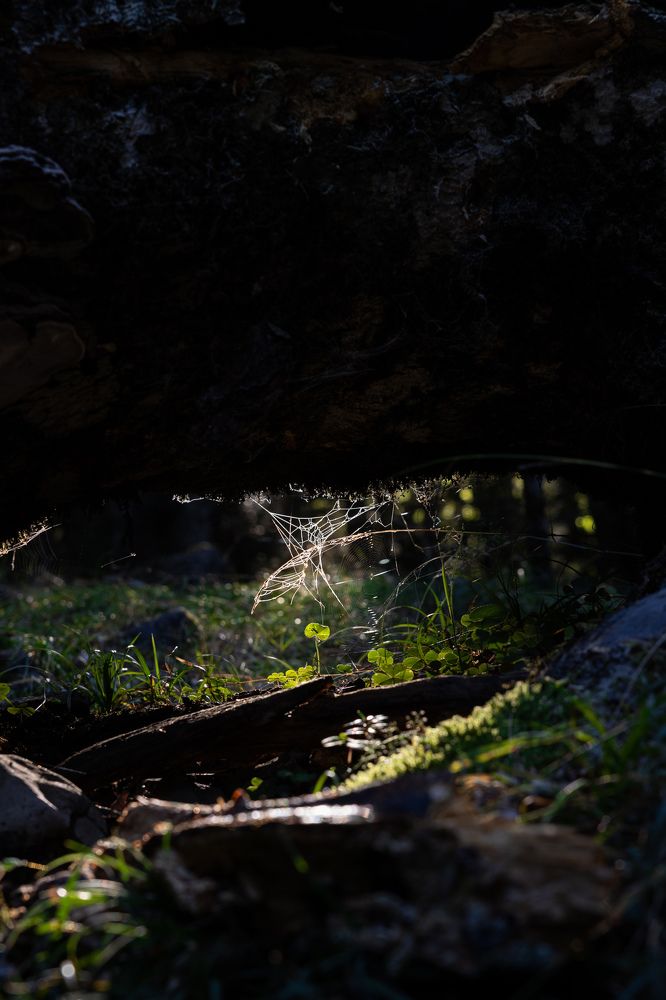 Фотография автора Sandra