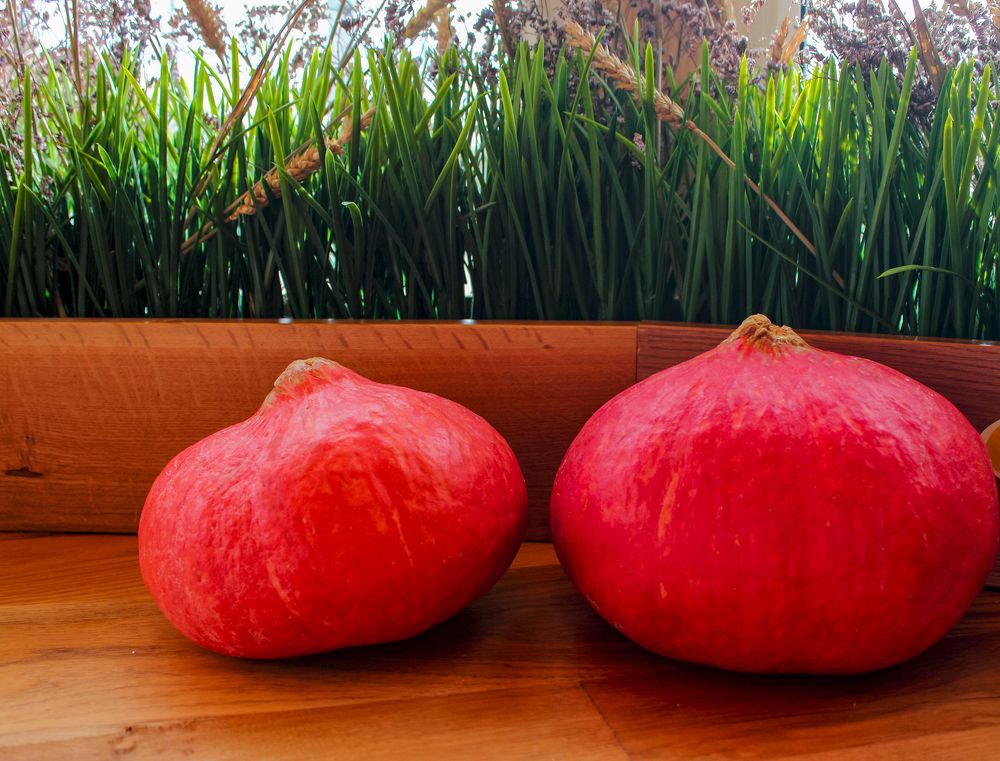 Photograph by Ирина Шибитова