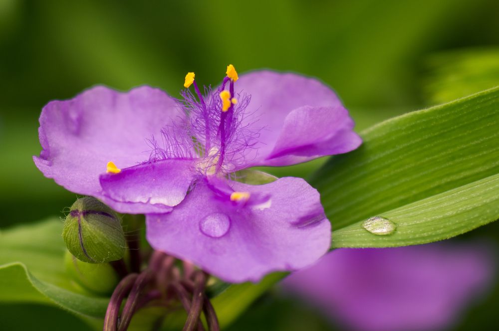 Photograph by Юрий Яковлевич