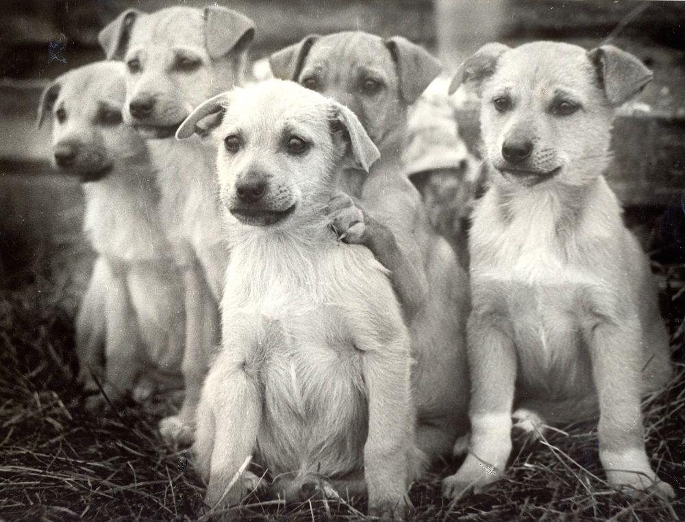 Photo #9758064