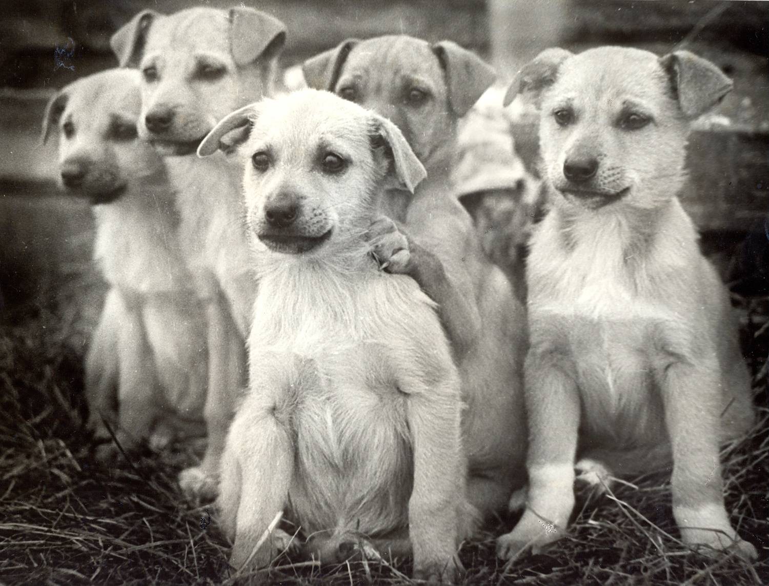 Photo #9758064