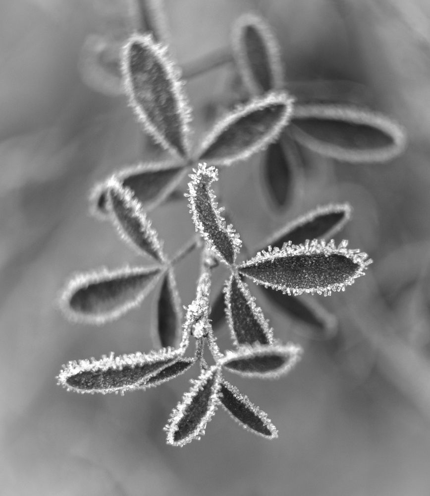 Photograph by Татьяна Романова