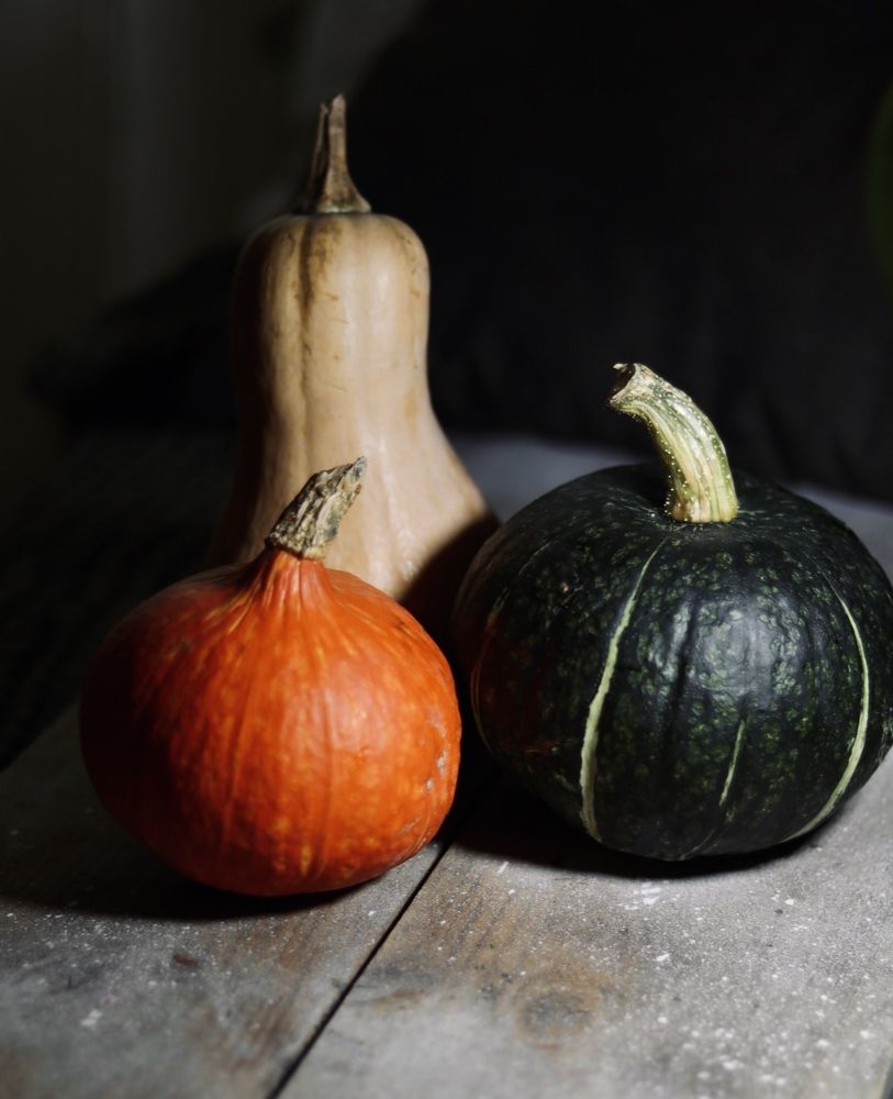 Photograph by Елена Ковалева