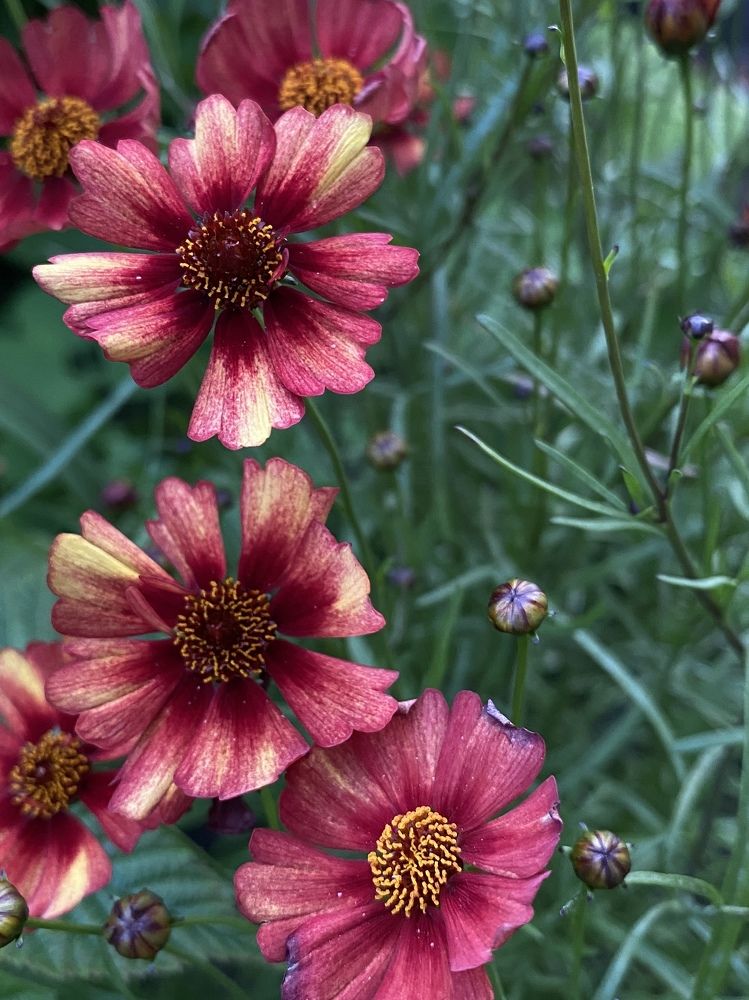 Photograph by Ольга Рачилова