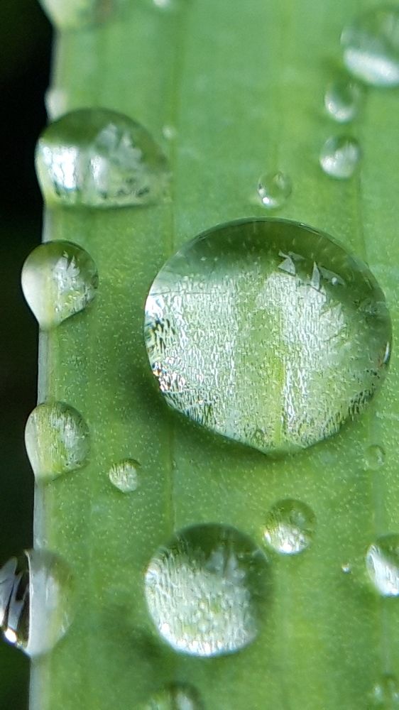 Фотография автора Elena