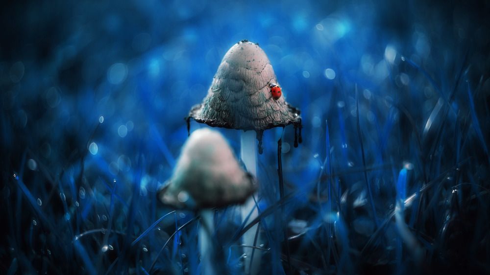 Фотография автора Вадим Поспелов