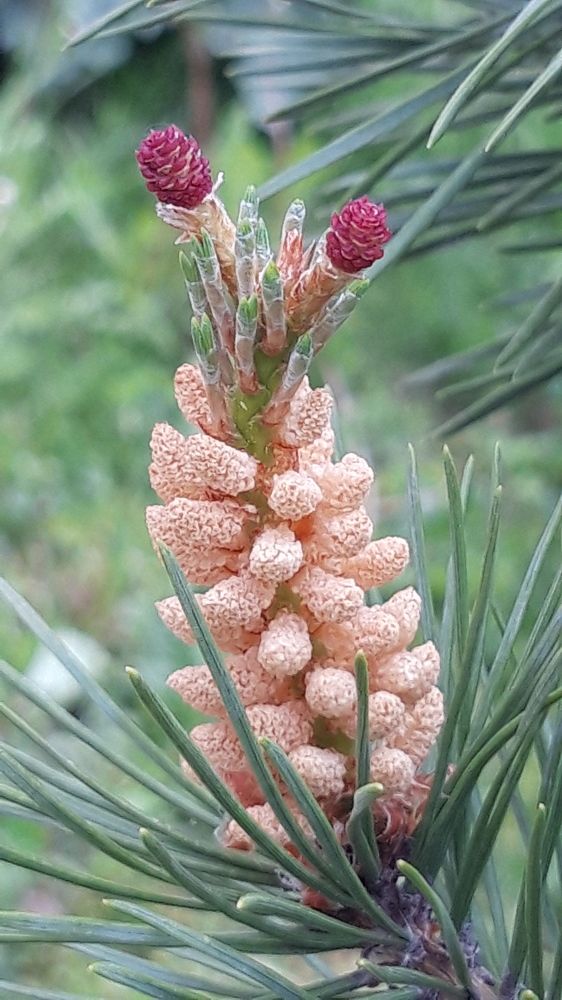 Фотография автора Elena