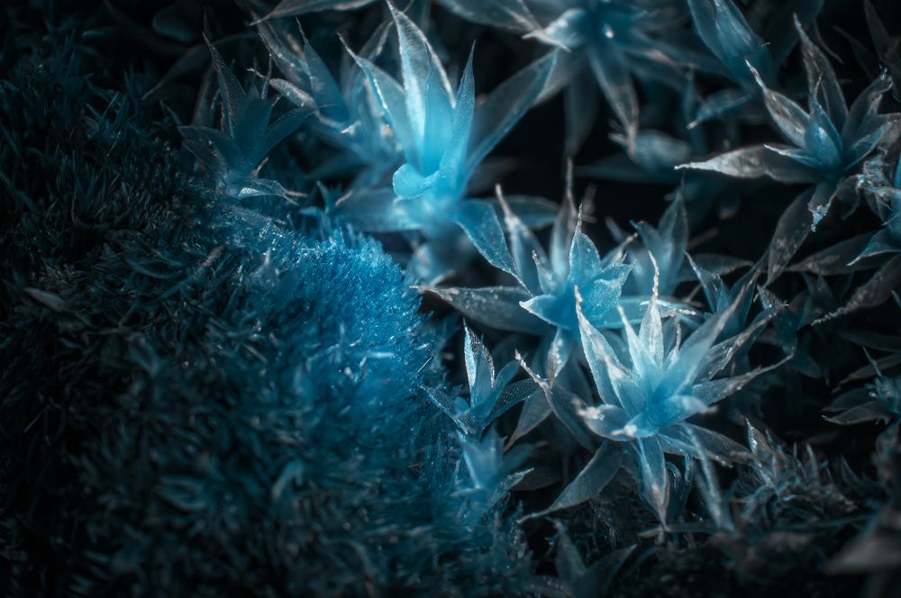 Фотография автора Вадим Поспелов