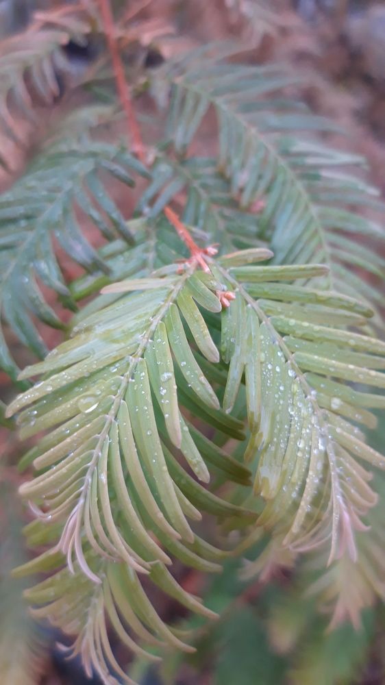 Фотография автора Elena