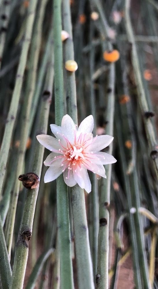 Photograph by Tina Domingos