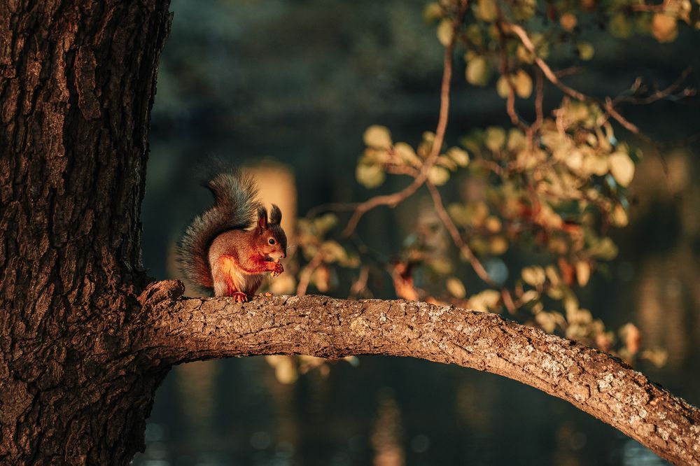 Фотография автора Вадим Поспелов