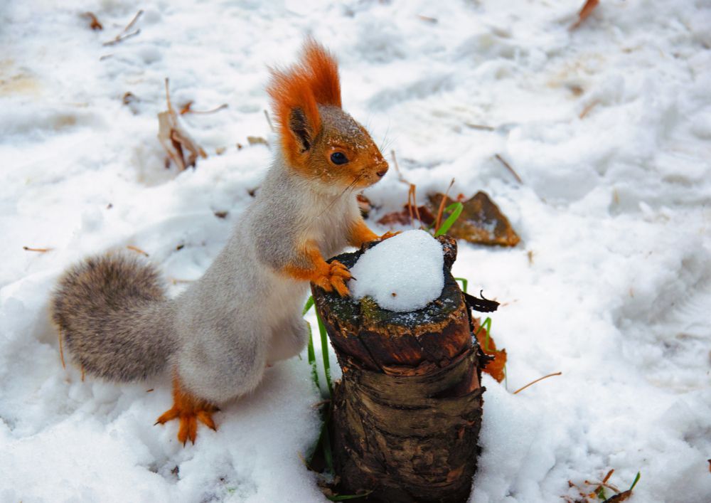 Photograph by Аверина Елена