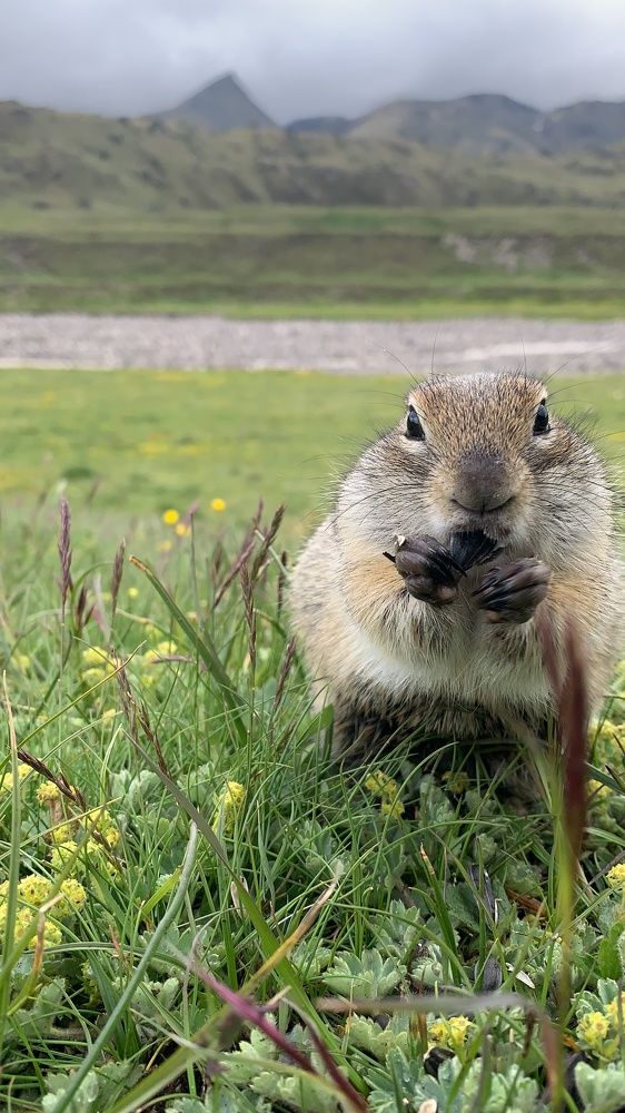 Photograph by Мария Алейникова