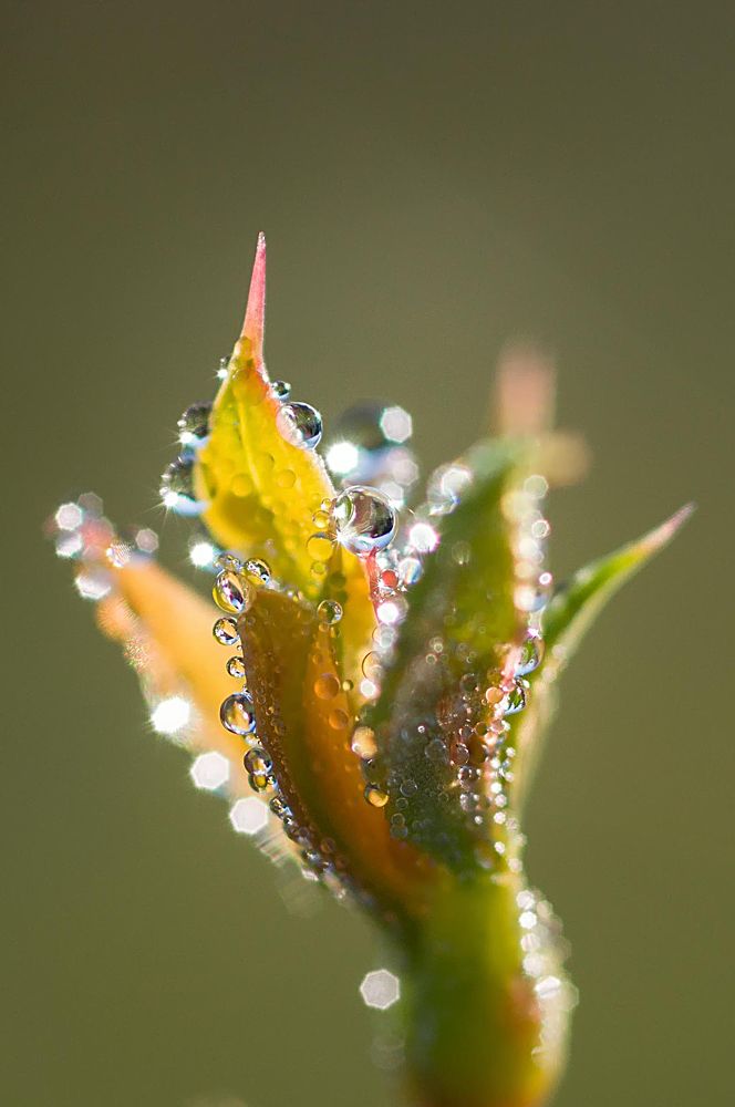 Photograph by Юрий Яковлевич